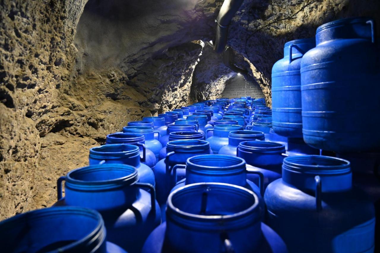 Valecska Palenice エクステリア 写真